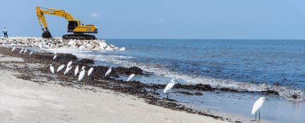Beach excavation