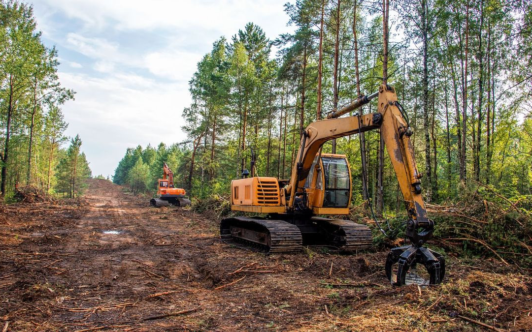 Lot Clearing vs. Land Clearing: Key Differences Explained